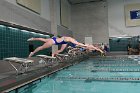 Swimming vs Babson  Wheaton College Swimming vs Babson College. - Photo By: KEITH NORDSTROM : Wheaton, Swimming, Babson